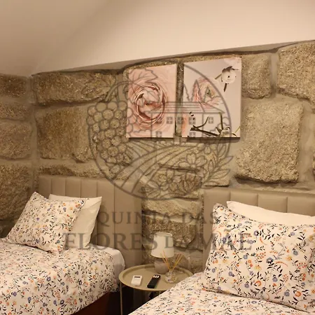 Quinta Flores Da Mae 木屋 Folhada