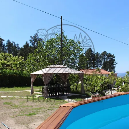 Quinta Flores Da Mae Folhada
