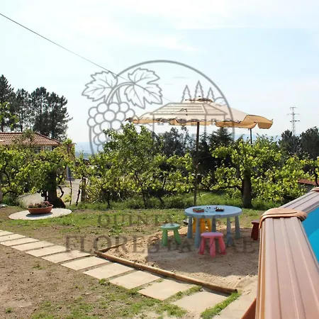 Quinta Flores Da Mae 木屋