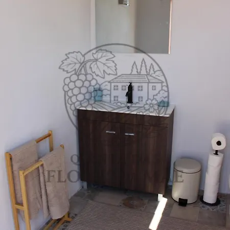 Quinta Flores Da Mae 木屋 Folhada
