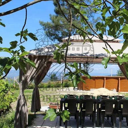 Quinta Flores Da Mae