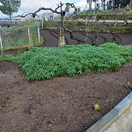 Quinta Flores Da Mae Alpstuga