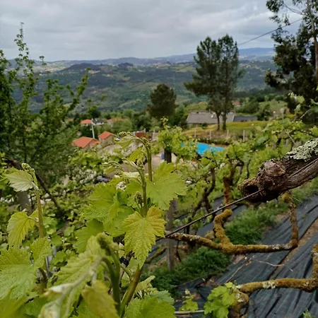 Alpstuga Quinta Flores Da Mae