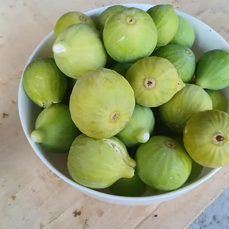 Quinta Flores Da Mae Alpstuga Folhada
