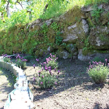Quinta Flores Da Mae 木屋 *